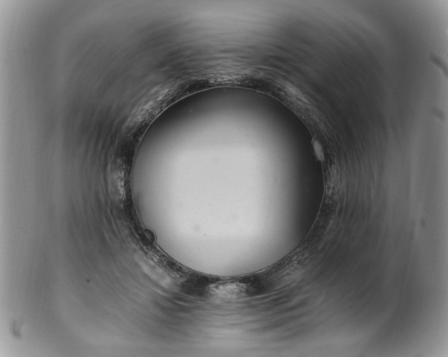 X0000100400452200806131017