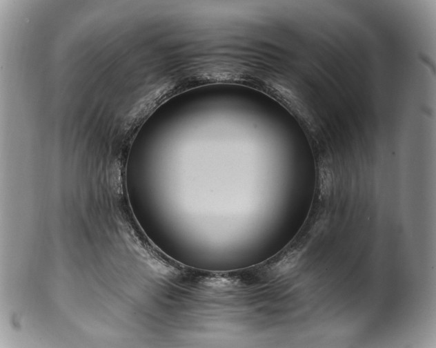 X0000100400453200806131017