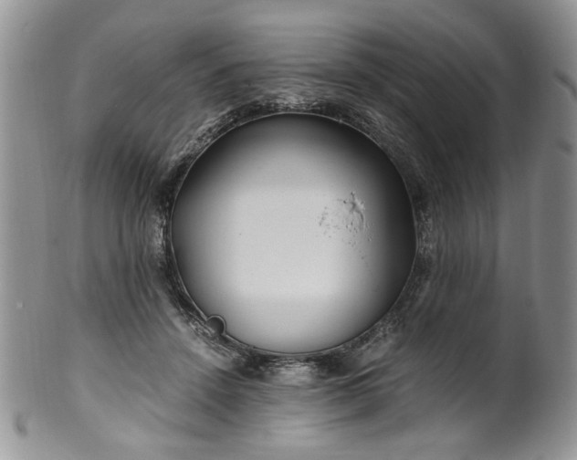 X0000100400456200806131017