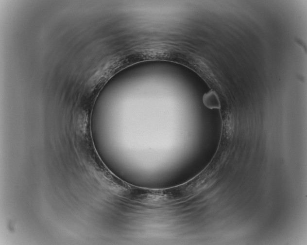 X0000100400458200806131017
