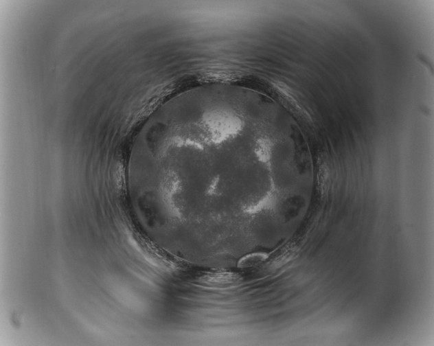 X0000100400459200806131017