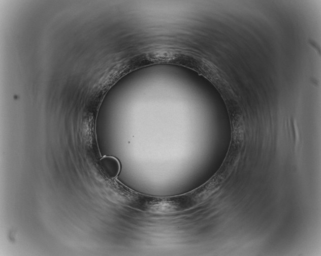 X0000100400460200806131017