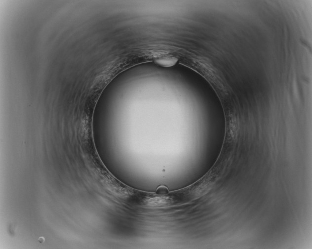 X0000100400461200806131017