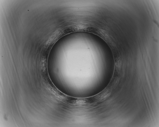 X0000100400462200806131017