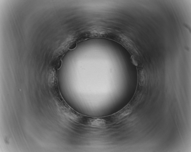 X0000100400463200806131017