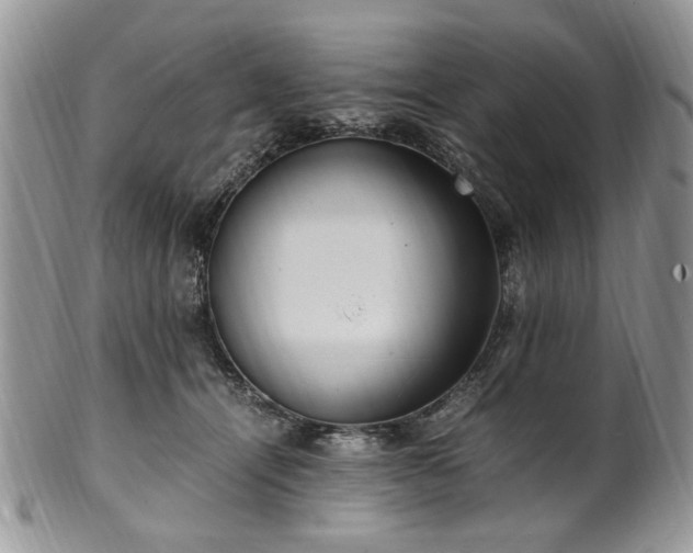 X0000100400464200806131017