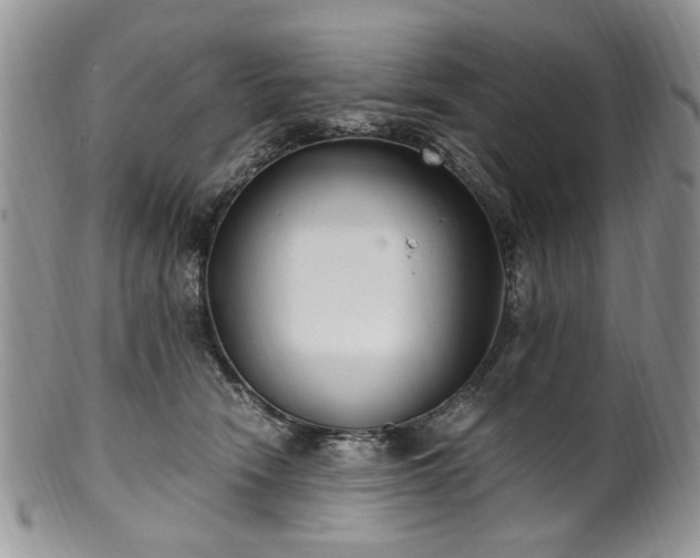 X0000100400466200806131017