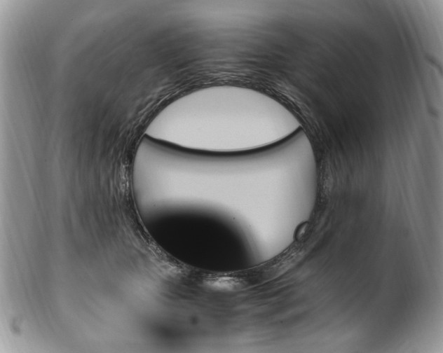 X0000100400467200806131017