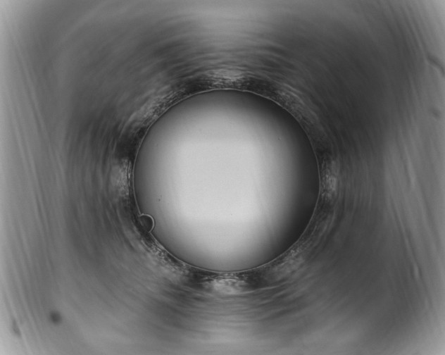 X0000100400468200806131017