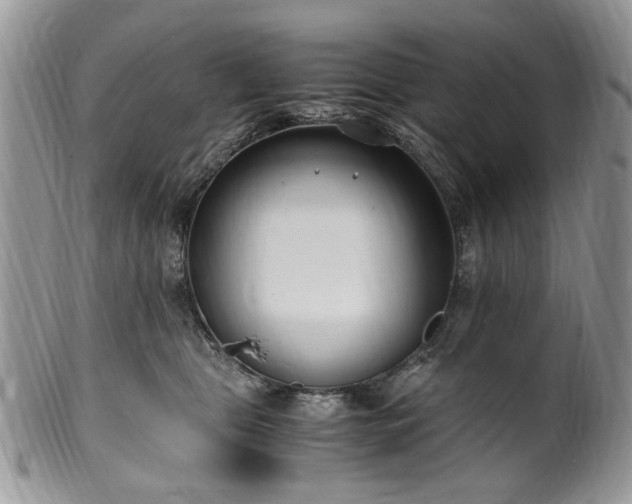 X0000100400469200806131017