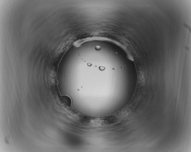 X0000100400470200806131017