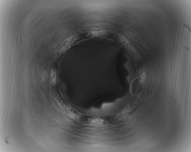 X0000100400471200806131017