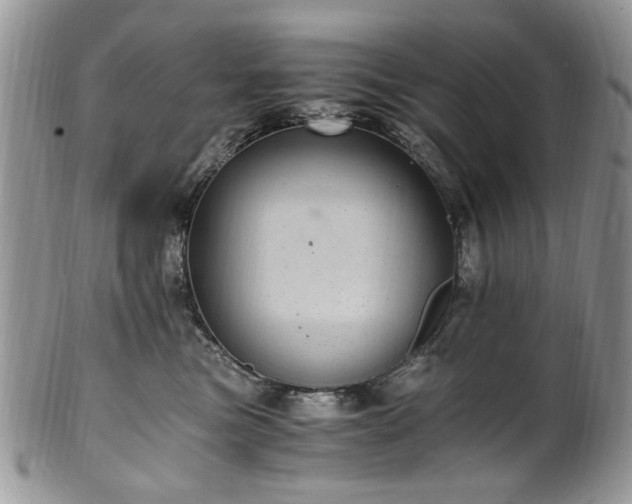 X0000100400473200806131017