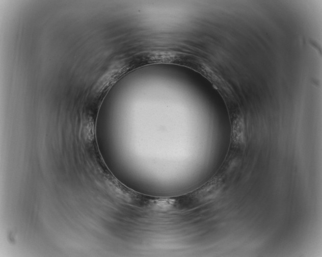 X0000100400474200806131017