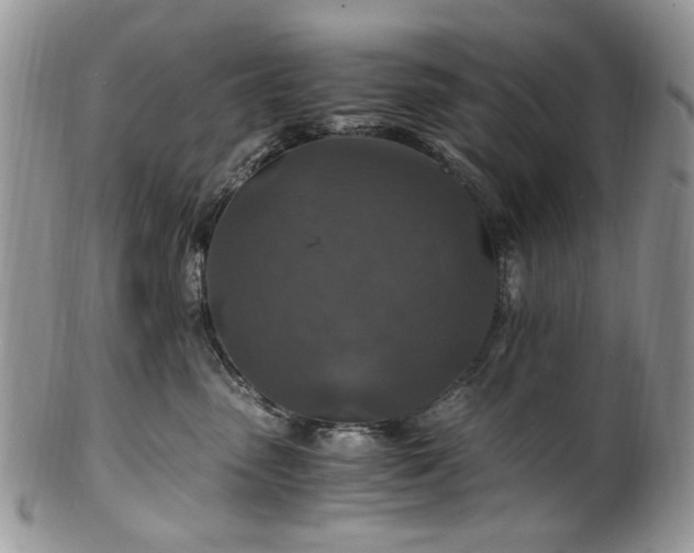 X0000100400475200806131017