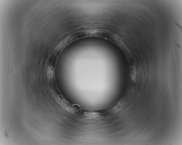 X0000100400476200806131017