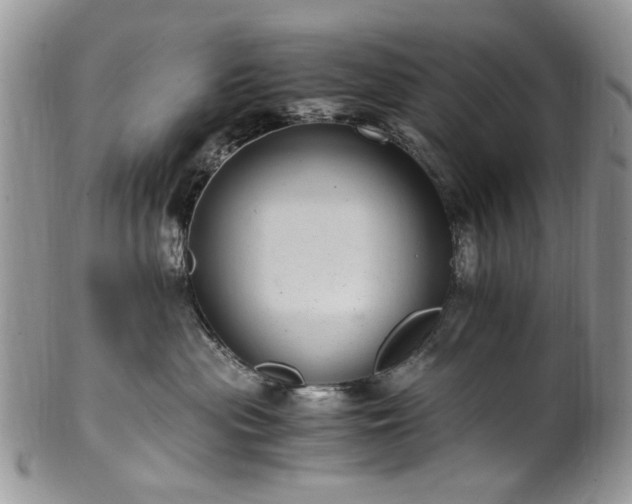 X0000100400477200806131017
