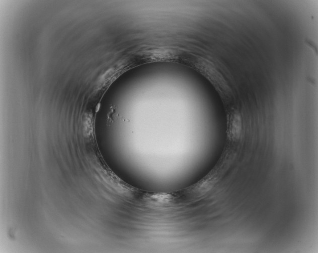 X0000100400478200806131017