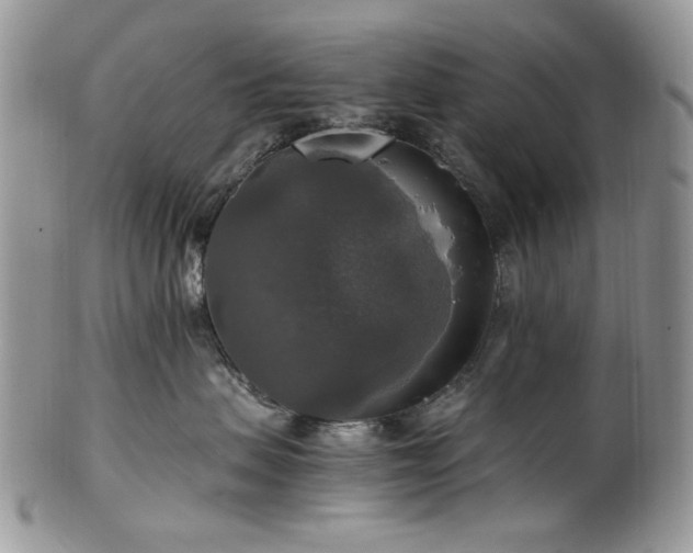 X0000100400479200806131017
