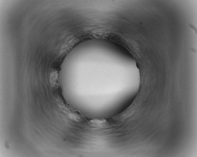 X0000100400480200806131017