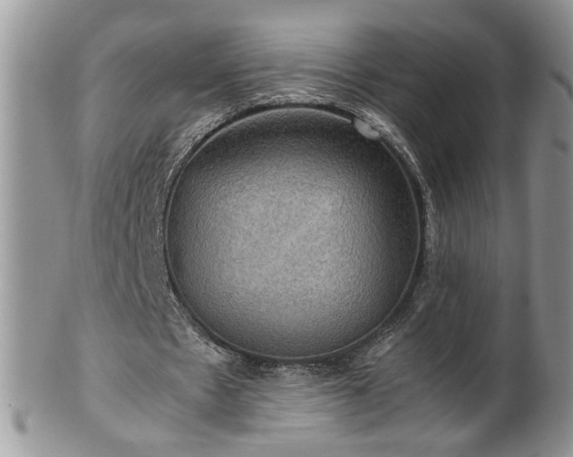 X0000100400481200806131017