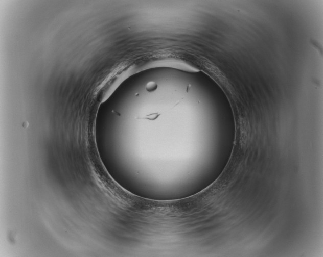 X0000100400482200806131017