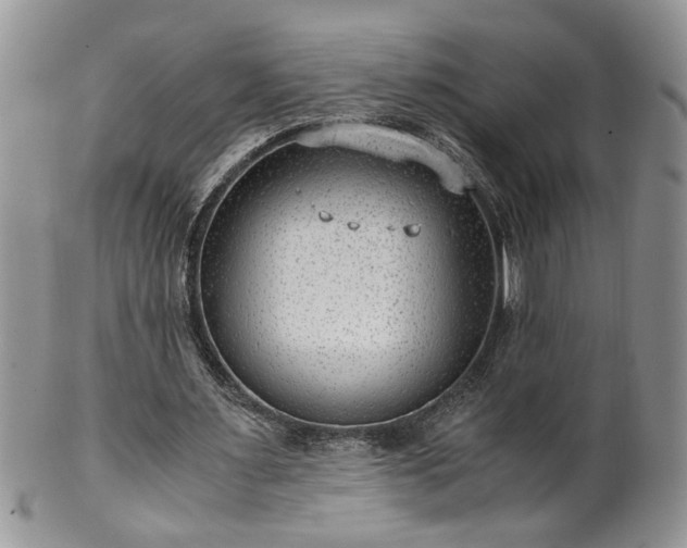 X0000100400483200806131017