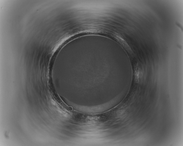 X0000100400484200806131017