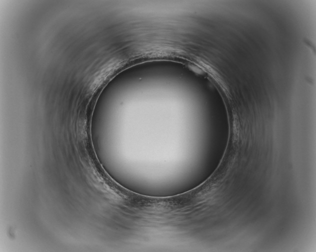 X0000100400485200806131017