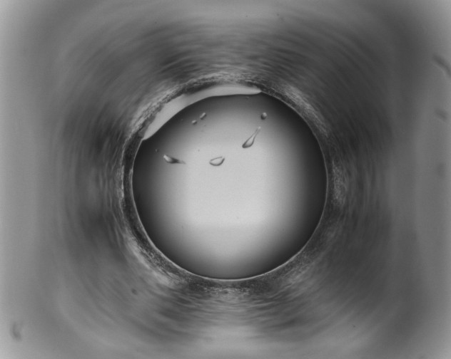 X0000100400486200806131017