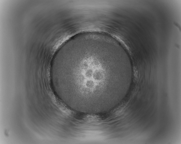 X0000100400487200806131017