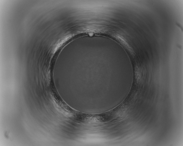 X0000100400488200806131017
