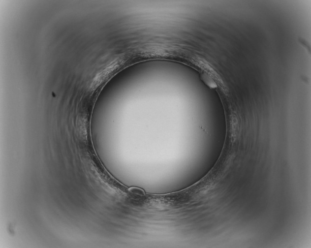 X0000100400489200806131017