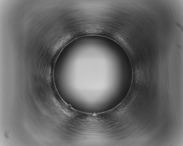 X0000100400490200806131017