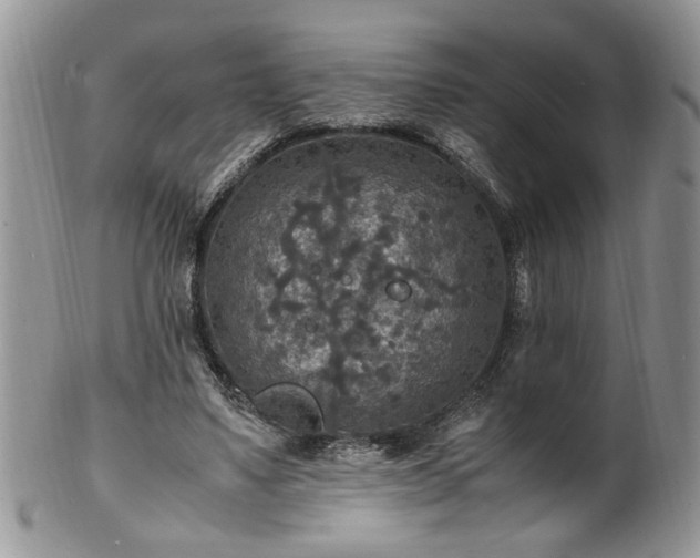 X0000100400491200806131017