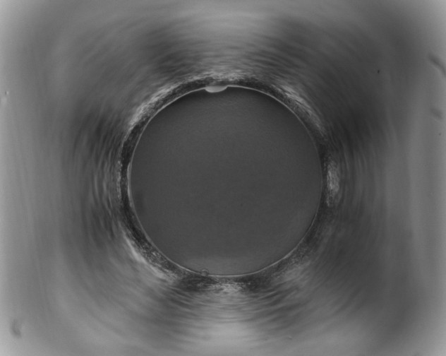 X0000100400492200806131017