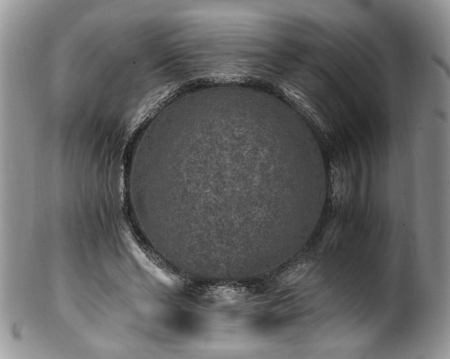 X0000100400494200806131016