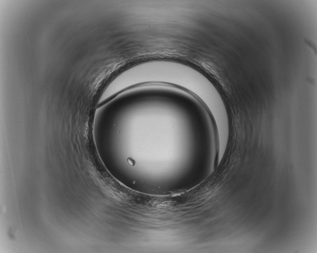 X0000100400495200806131016