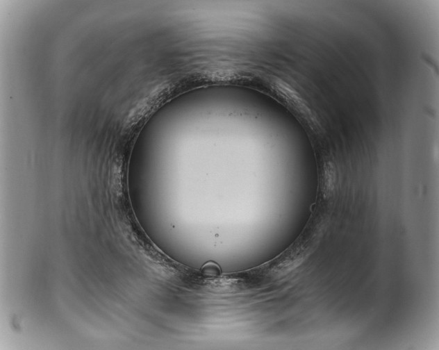 X0000100400497200806131016