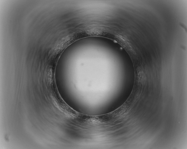 X0000100400498200806131016