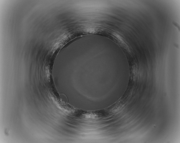 X0000100400500200806131016