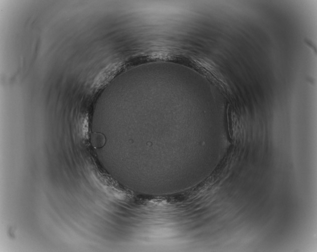 X0000100400502200806131016