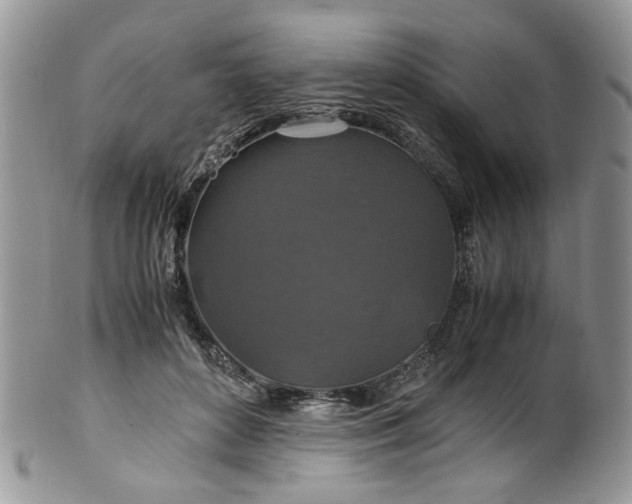 X0000100400504200806131016