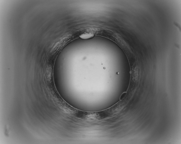 X0000100400505200806131016