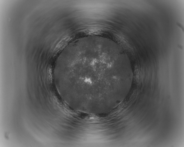 X0000100400506200806131016