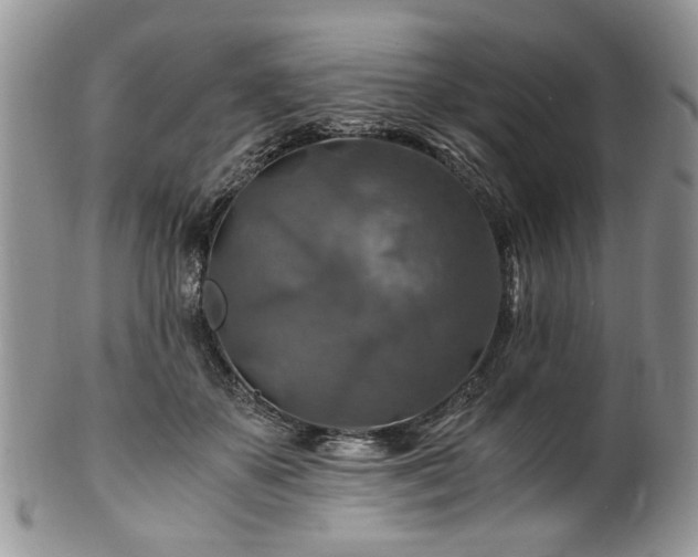 X0000100400507200806131016