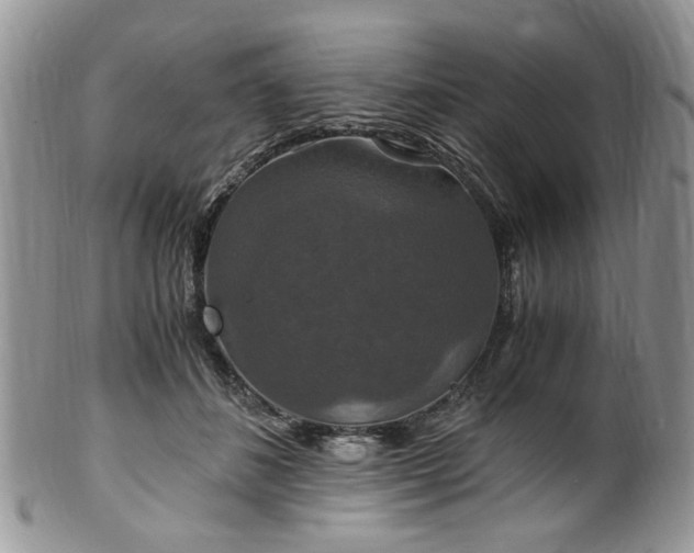 X0000100400508200806131016