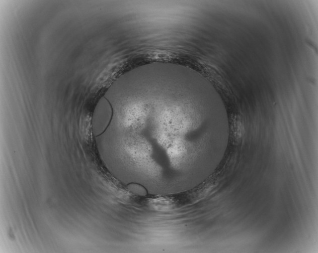 X0000100400511200806131016