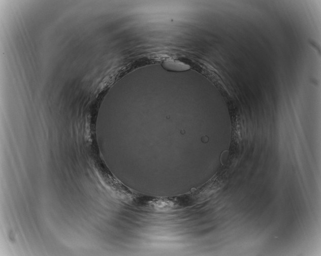 X0000100400512200806131016