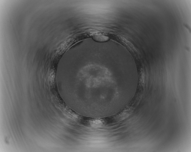 X0000100400513200806131016